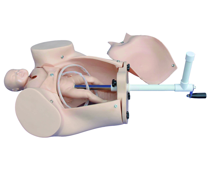 childbirth-simulation-model-image