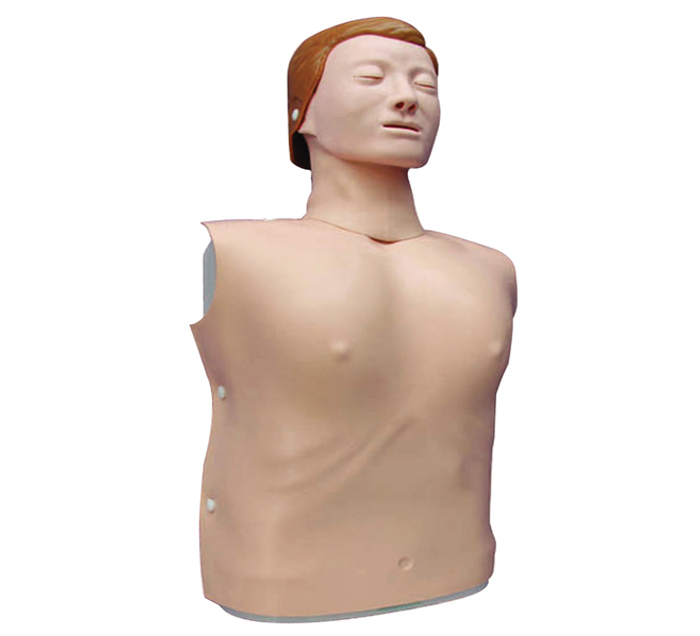 female-adult-torso-reanimation-mannequin-image