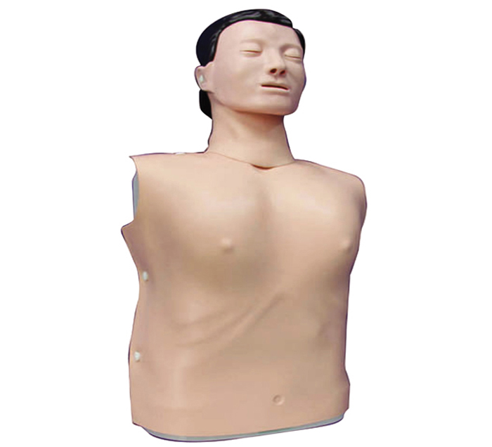 male-adult-torso-reanimation-mannequin-image