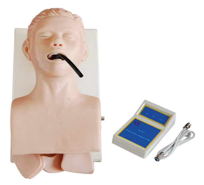 adult-training-intubation-model-image