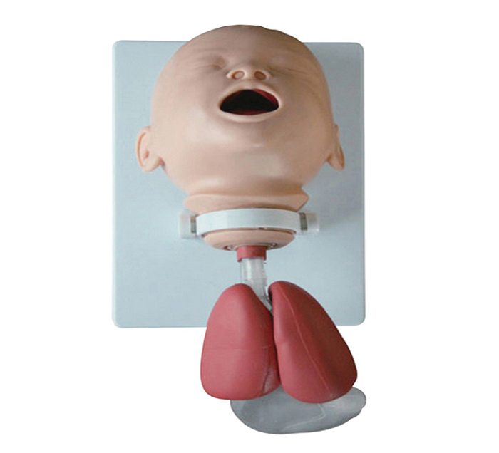 infant-training-intubation-model-image