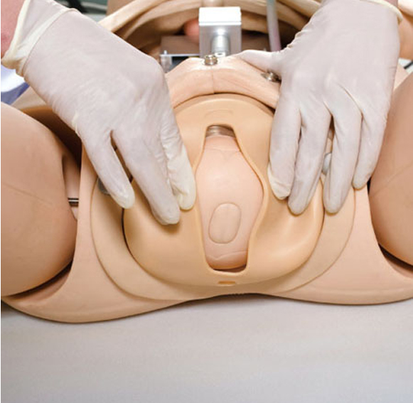 full-body-childbirth-mannequinnew-born-image-3